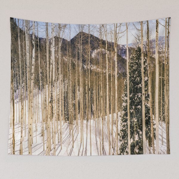 Item preview, fwc 1212 cold winter snow designed and sold by fred chiea.
