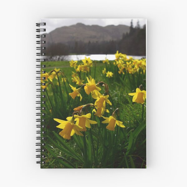 Item preview, Lake District: Ullswater Daffodils designed and sold by Rob Parsons (Just a Walker with a Camera).