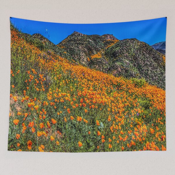 Item preview, fwc 1259 summer spring autumn usa designed and sold by fred chiea.