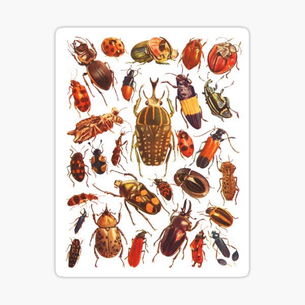 Item preview, Beetles Bugs Creepy Crawler Digital Art designed and sold by SillaHoekstra.