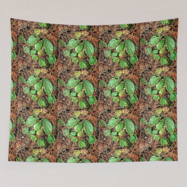 Item preview, Cactus and Pine-needles designed and sold by Jaroffaith.