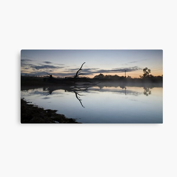 Item preview, Fallen Tree- Badgery's Creek, NSW designed and sold by Malcolm Katon.