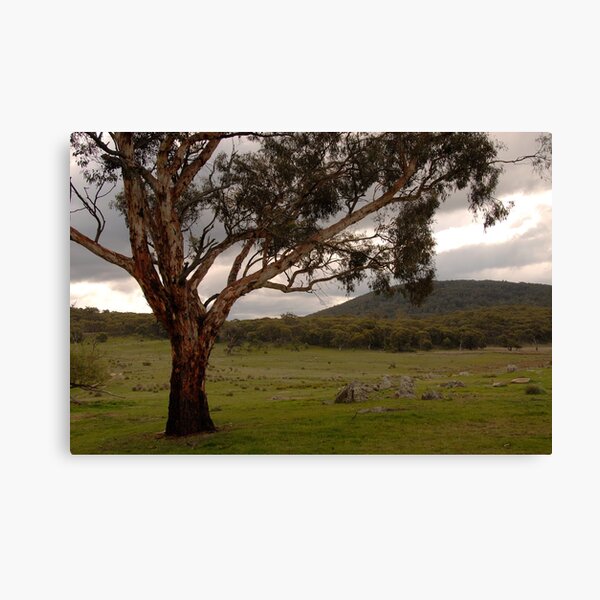 Item preview, Grassy Creek, Namadgi designed and sold by Richard  Stanley.