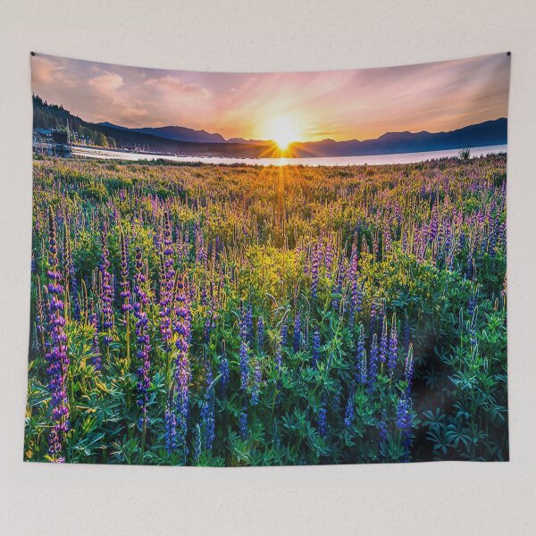 Item preview, fwc 1278 summer spring autumn usa designed and sold by fred chiea.