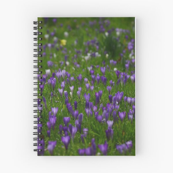 Item preview, Lake District: Cockermouth Crocuses designed and sold by Rob Parsons (Just a Walker with a Camera).