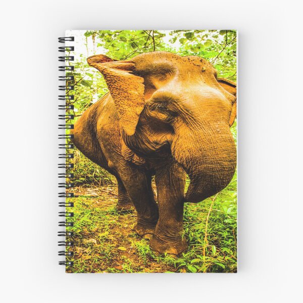 Item preview, fwc 1355 africa animal barbaric designed and sold by fred chiea.