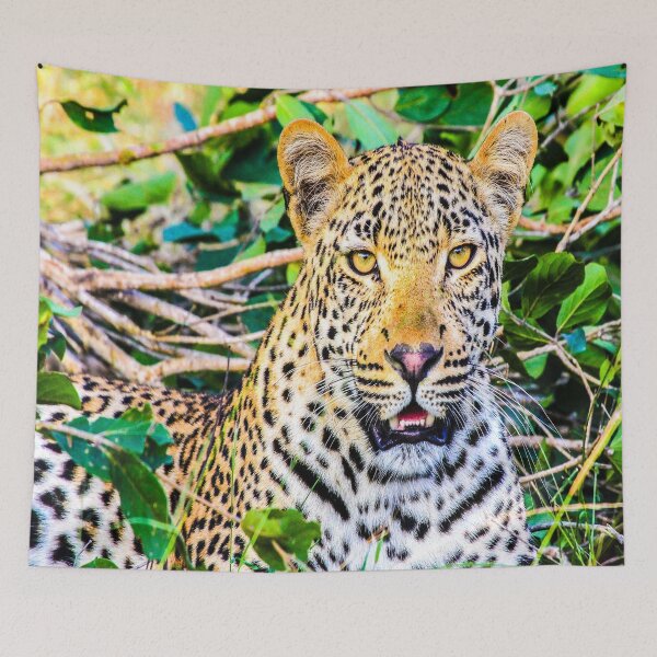 Item preview, fwc 1357 africa animal big cat designed and sold by fred chiea.