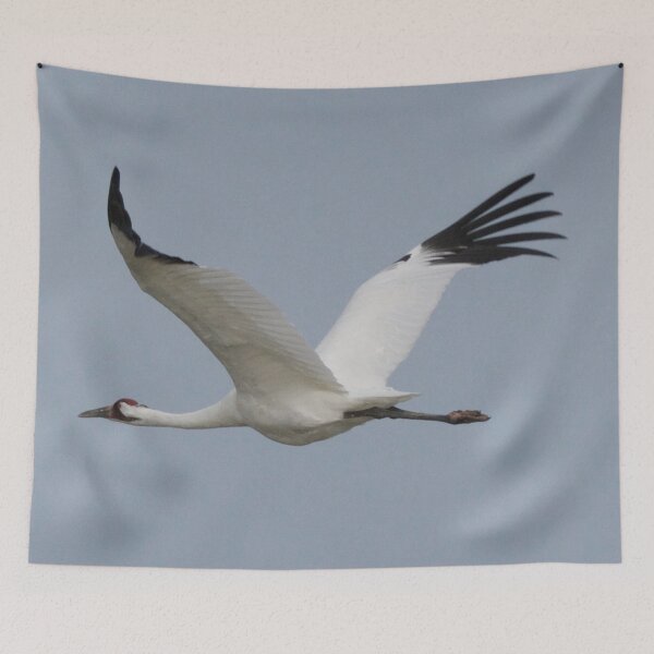 Item preview, Whooping Crane in Flight designed and sold by KnutsonKr8tions.