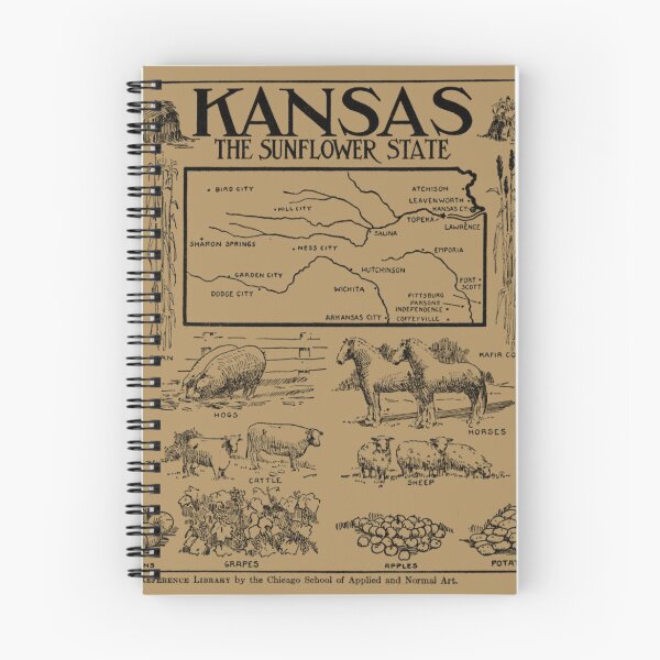 Artikelvorschau, Vintage illustrative Karte von Kansas (1912) - Tan entworfen und verkauft von BravuraMedia.