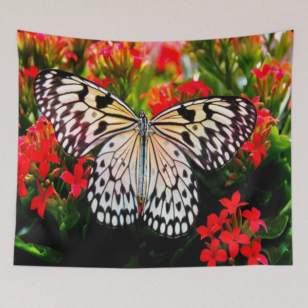 Item preview, fwc 1388 beautiful bloom blooming designed and sold by fred chiea.