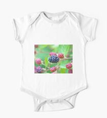 Ripe!! One Piece - Short Sleeve
