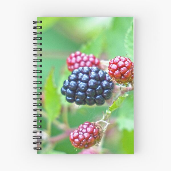 Item preview, Ripe!! designed and sold by Frankie Cat Photography.