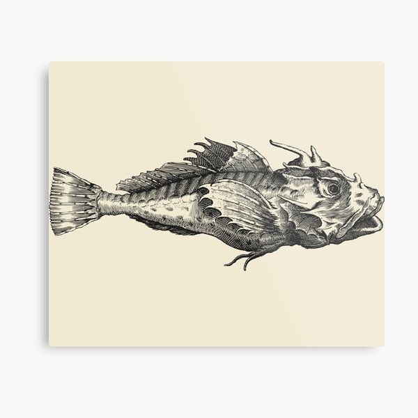 Item preview, Bone Fish Antique Drawing | Ancient Fine Art Illustration  designed and sold by freshlypeeled.
