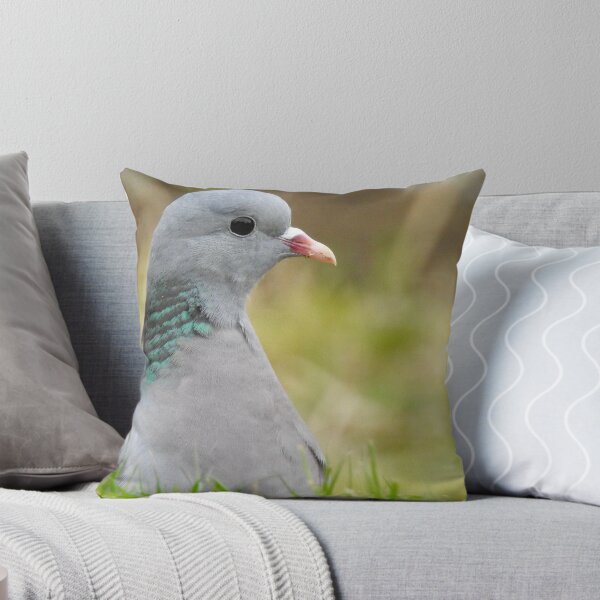 Item preview, Stock Dove designed and sold by Louisamhocking.
