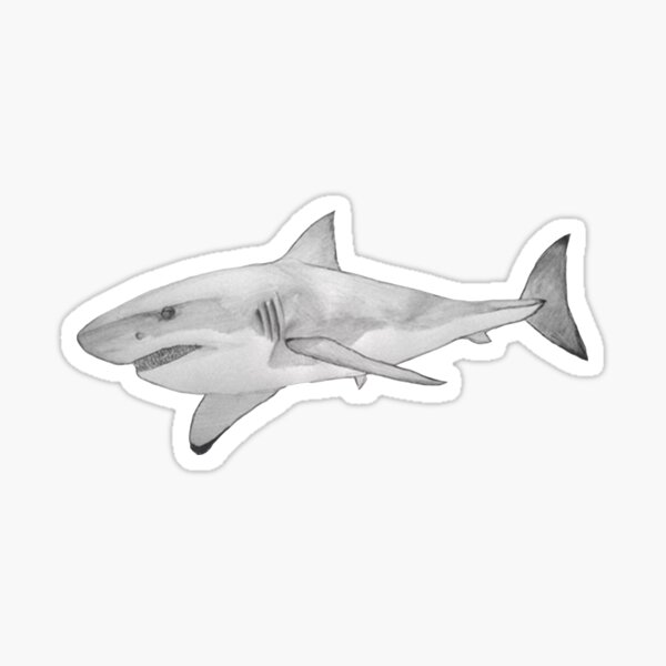 Item preview, Shark Sketch designed and sold by goatlegg.