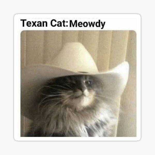 cowboy cat meowdy