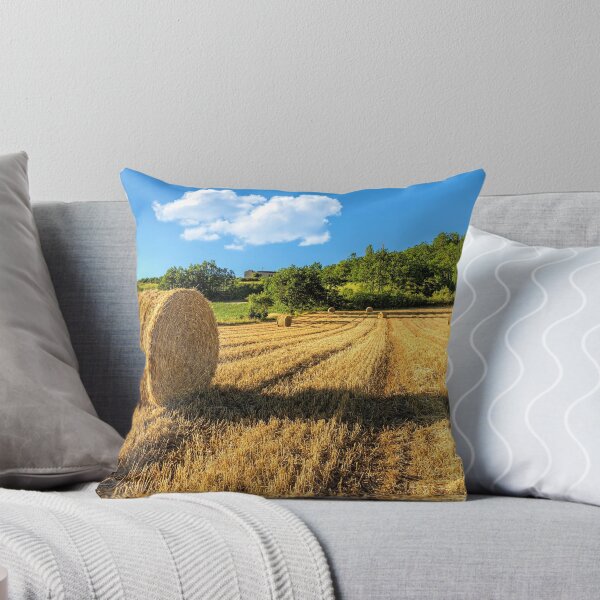 Item preview, Straw Bales designed and sold by TonyPriestley.