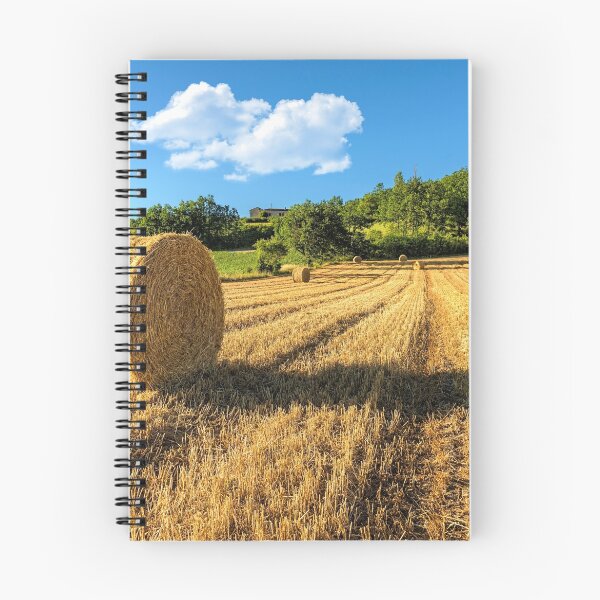 Item preview, Straw Bales designed and sold by TonyPriestley.