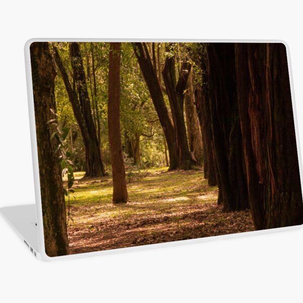 Floresta Marrom Laptop Skin