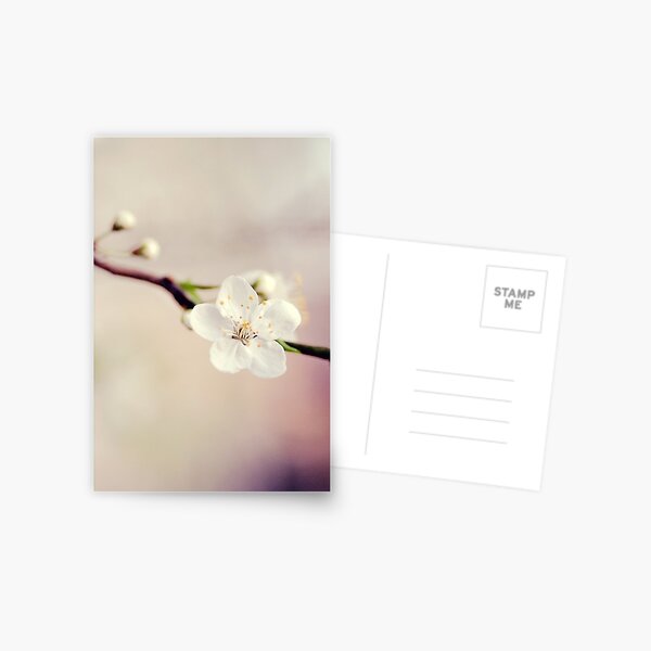 Item preview, Spring is in the air designed and sold by CoffeeBreak.