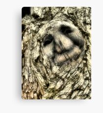 Tree Hagg Canvas Print