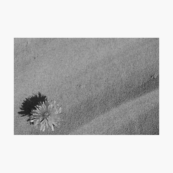 Item preview, Flower on Sand designed and sold by Eden Stanger.