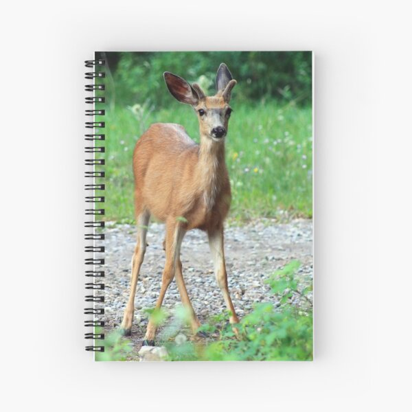 Item preview, Beautiful  Mule Deer designed and sold by Teresa Zieba.