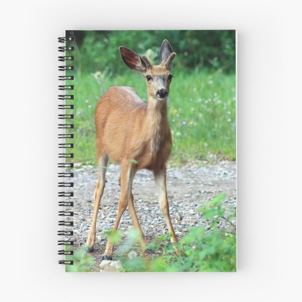 Item preview, Beautiful  Mule Deer designed and sold by Teresa Zieba.