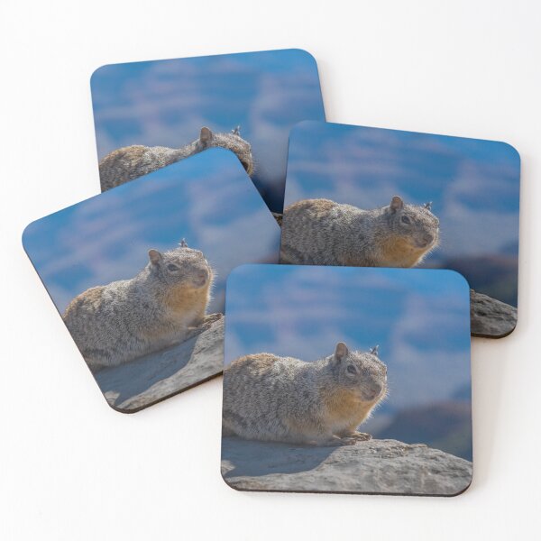 Item preview, Kaibab squirrel designed and sold by JohnDSmith.