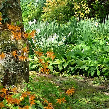 Artwork thumbnail, English Springtime by Sally Green