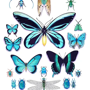 Artwork thumbnail, Teal Insect Collection by Vicky Pratt