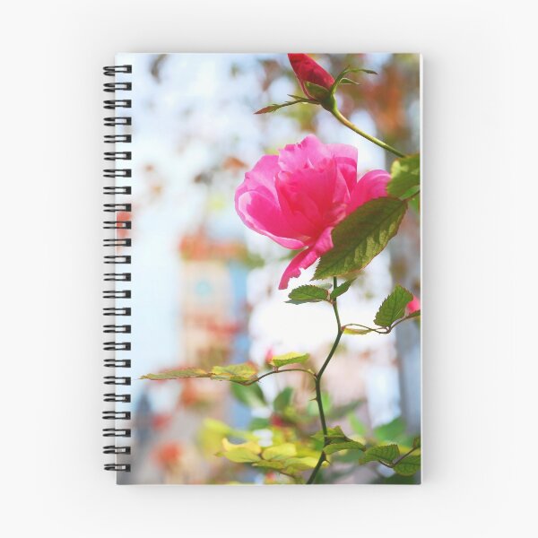 Item preview, flor rosa frente a Osgoode Hall, Toronto, Ontario, Canadá designed and sold by madewithSOUL.