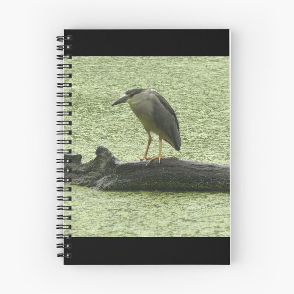 Item preview, #706  Black Crown Night Heron designed and sold by MyInnereyeMike.