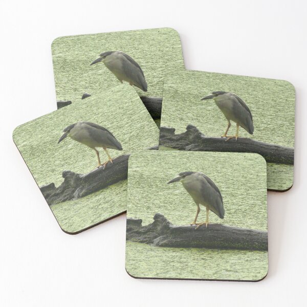 Item preview, #706  Black Crown Night Heron designed and sold by MyInnereyeMike.