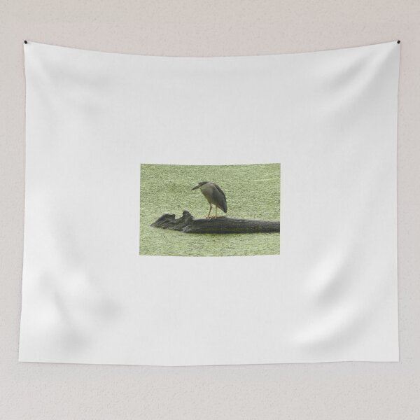 Item preview, #706  Black Crown Night Heron designed and sold by MyInnereyeMike.