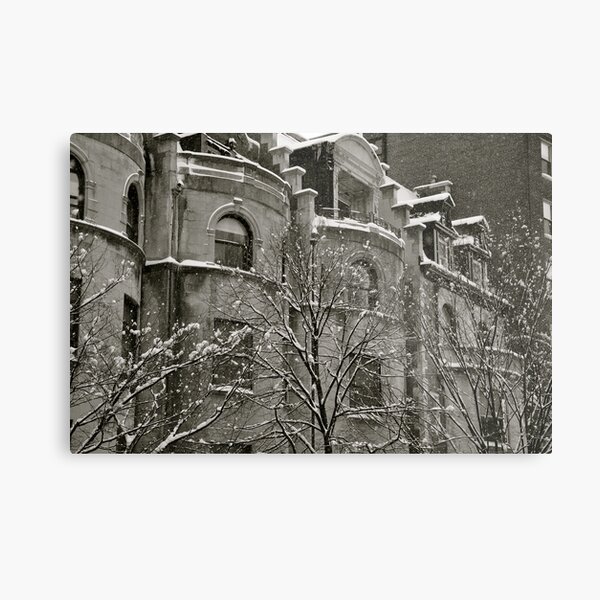 Snow dust Metal Print