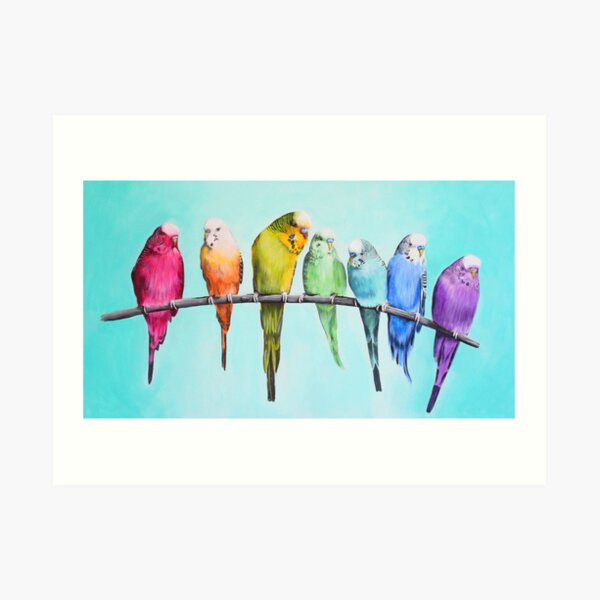 Rainbow Budgies Art Print