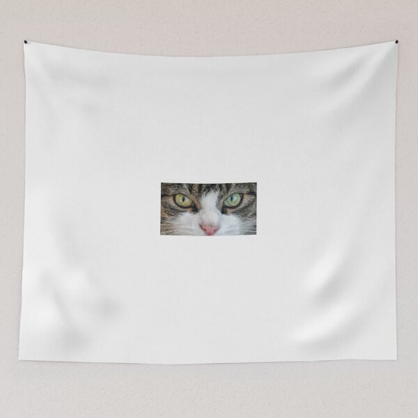 Item preview, Cat Stare Down designed and sold by Zoozwear Apparel.