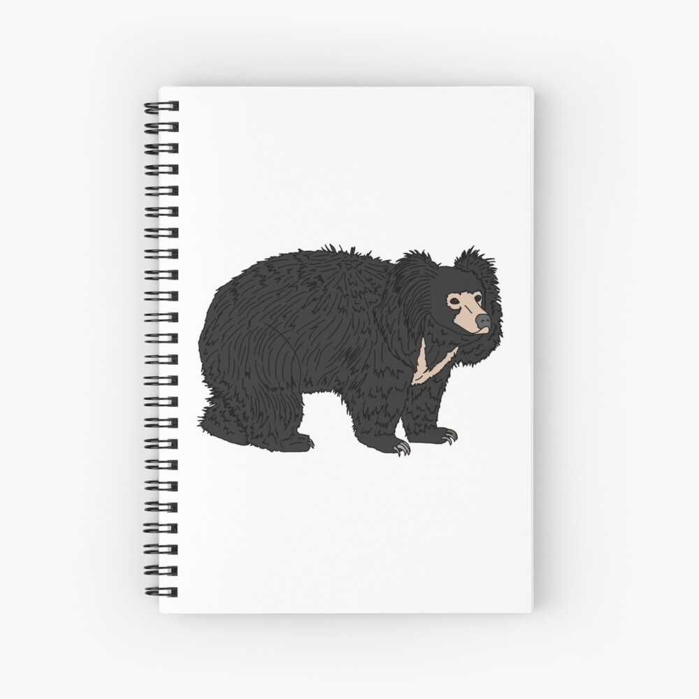 How To Draw Sloth Bear | How To Draw Sloth Bear | By DRAWING PENCIL |  Facebook