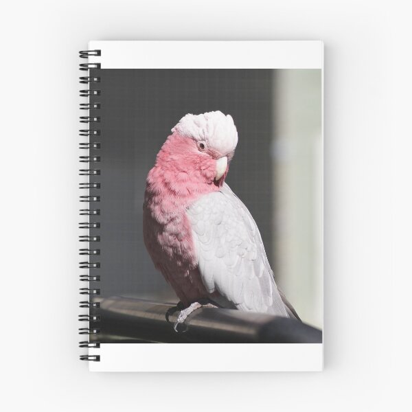 Item preview, Pink Galah Portrait designed and sold by Dragonsfield.