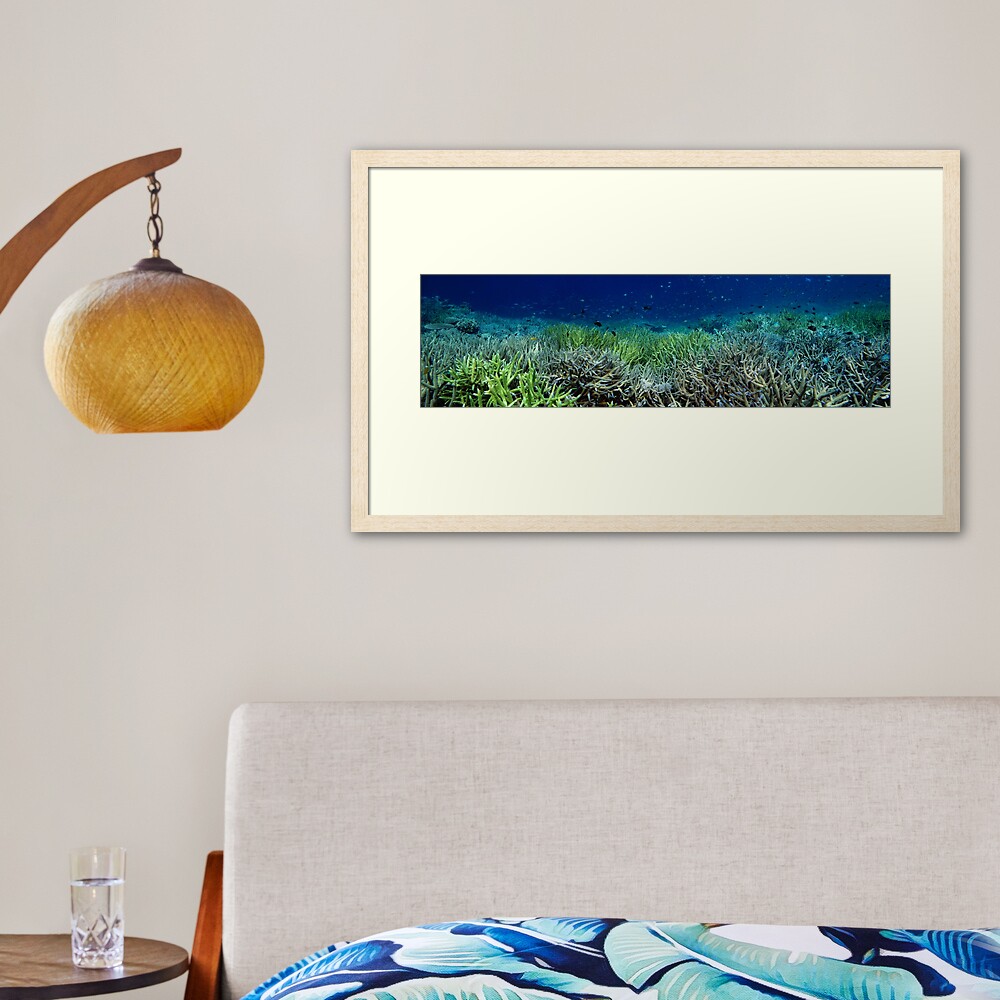 Reef Flat at Kamatal Framed Art Print