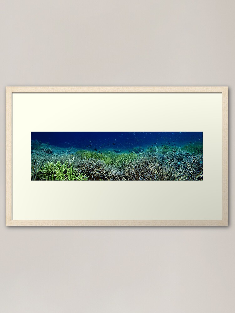 Alternate view of Reef Flat at Kamatal Framed Art Print