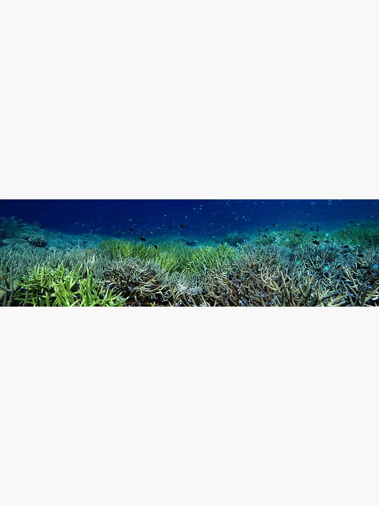 Reef Flat at Kamatal by neoniphon