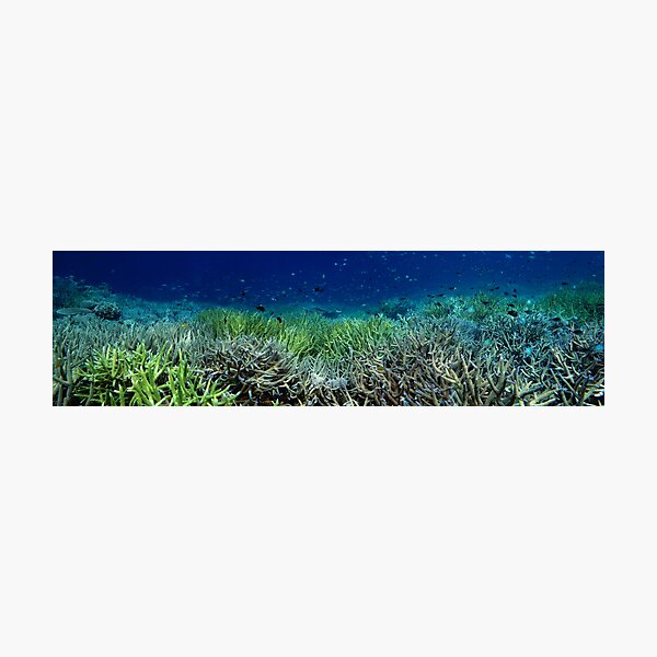 Reef Flat at Kamatal Photographic Print