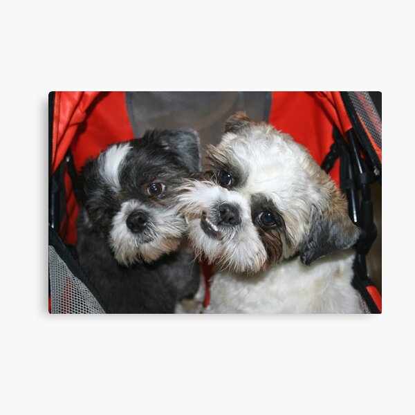 Me and my brother! Canvas Print
