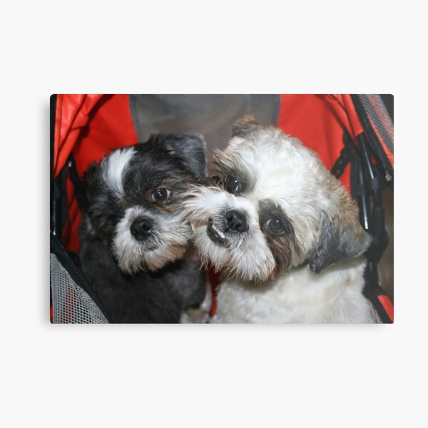 Me and my brother! Metal Print