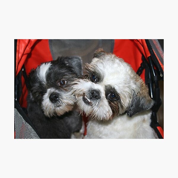 Me and my brother! Photographic Print