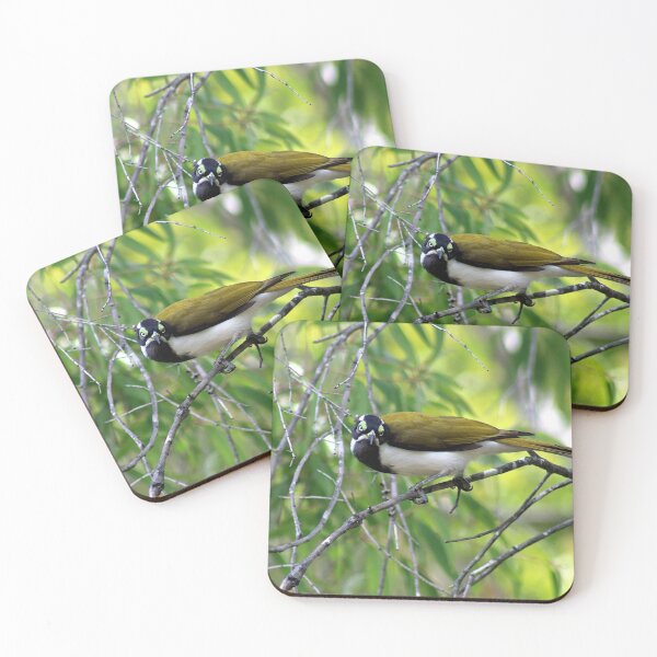 Item preview, © Blue-faced honeyeater (Juvenile) designed and sold by GeoPipics.