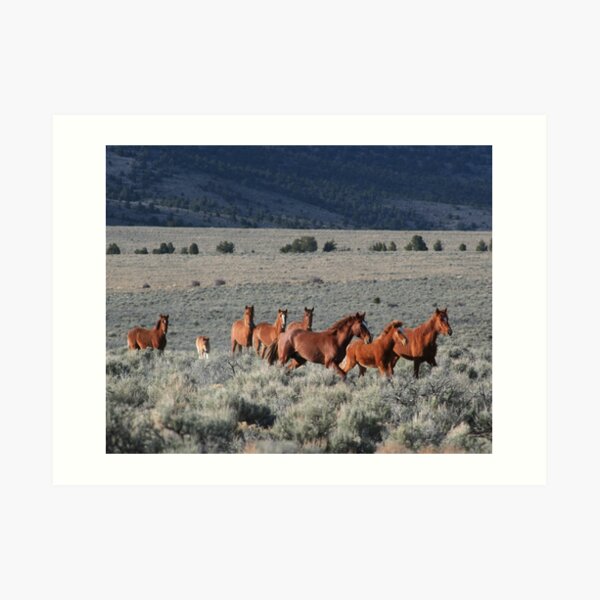 High Desert Band Art Print