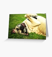 Bullet Greeting Card